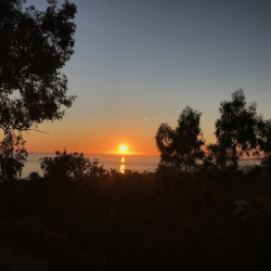 Sunsets